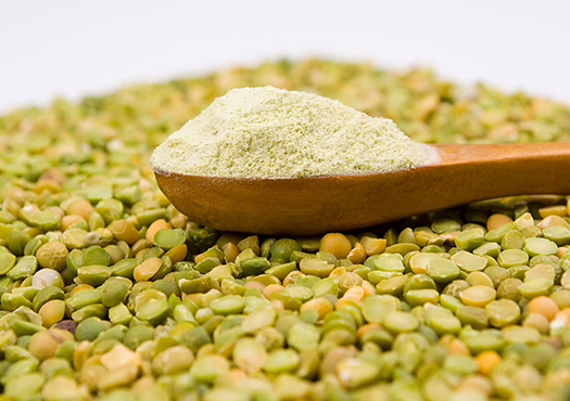 Plant protein made from lentils and mung beans A wooden spoon loaded with protein flour on dried legumes